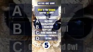 Quiz Game: Test Your Knowledge PT19 #NatureQuiz #QuizGame #LearnAboutNature