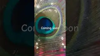 💛 Everything Ready for Krishna&rsquo;s Arrival | Janmashtami 2025 Decoration Sneak Peek 🌼