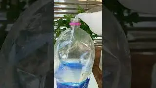 Utilizar jab&oacute;n de manos para las plantas  #plantas #shortvideo