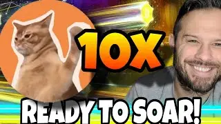 Elon Musk Might Be Starting The Meme Coin Rally And CatSlap Could See 10x Gains!