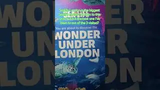 Is Sealife London the best of the 3 I've been to this year? #fypシ