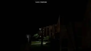 Cane toad sound at night on Maui: strange noise on Maui