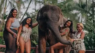 Mason Elephant. Portrait Photoshoot in Bali