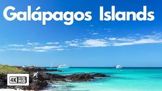 Gal&aacute;pagos Islands 4k ULTRA HD