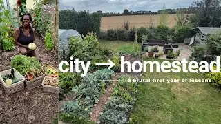 my brutal first year homesteading a half-acre plot, whilst working a 9-5