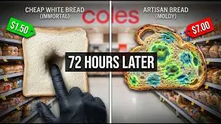 $1.50 Bread vs $7 Loaf: I Left Them Out for 72 Hours (The Result Will Shock You)