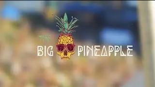 Big Pineapple Music Festival 2017