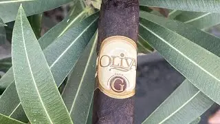 Oliva Serie G Maduro #olivacigars #cigaroftheday #cigarians #cigars #cigarlover #cigarcultural