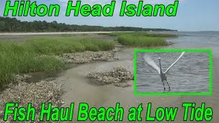 Hilton Head Island Fish Haul Beach [LOW TIDE Montage]