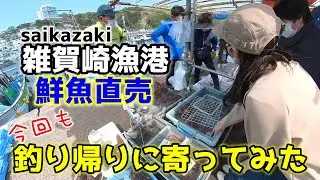 和歌山【雑賀崎漁港】釣り帰りに鮮魚直売に行きました♪今回も激安鮮魚に驚きながらの夫婦の購買風景をご覧ください！
