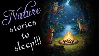 Nature Stories to Sleep | Relaxing and Peacful Ambient | Sleep Stories for Children | EP#8