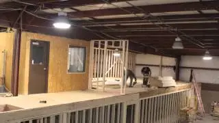 Our New Facility