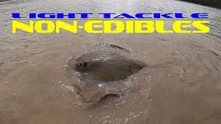 Fun with Non-Edibles using Light Tackle - Fishing East London - Eastern Cape South Africa