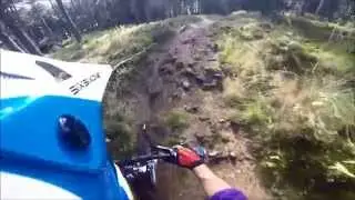 pitmedden forest trails