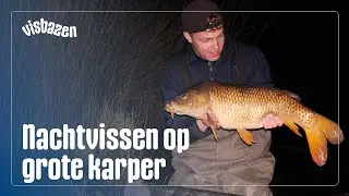 NACHTVISSEN op GROTE KARPER | VISbazen #3