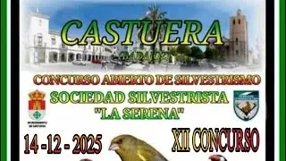 ‼️Concurso SILVESTRISMO cierre temporada 2025. Hoy ha tocado 🧑‍⚖️ 😀