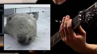 Seal Metal