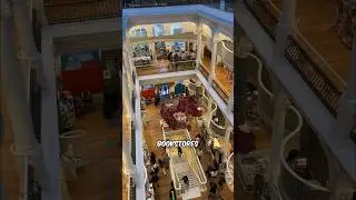 Beautiful Bookstore in Romania 🇷🇴 #shorts