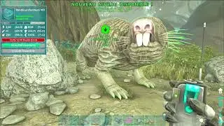 les utilitaires  Ep 28 Ark Survival Evolved