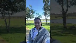Where I would buy if I had a $600K budget in Perth