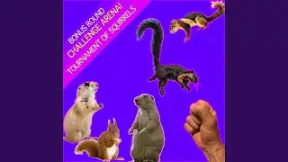 Southern Flying Squirrel