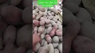 Vegetables Become Cheap | Sabzi Mandi Gojra | 29 October 2025 | Punjab Fresh vegetables Prices