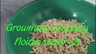 Fully automatic 300kg/h pasta machine with continuous dryer(MP) #manufacturer #machine #pastamachine