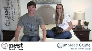 Nest Bedding Alexander Signature Hybrid Mattress Review