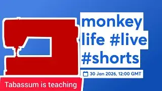 monkey life #live #shorts