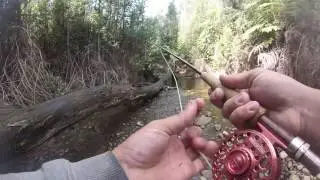 Flyfishing small streams North East Victoria