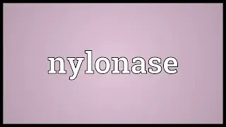 Nylonase Meaning