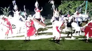 Bison Horn Maria Tribal Dance of Bastar Chhattisgarh