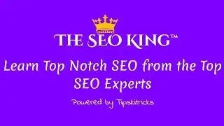 The SEO King Program - Increase Your Site Traffic by Mastering the Art of SEO