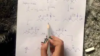 🔹Shapiro Reaction🔹   #mscfinal #naming reaction#