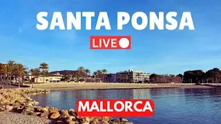 🔴LIVE in Santa Ponsa (Majorca) Mallorca | 11 February 2024