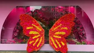 Macy&rsquo;s Flower Show 2021 NYC - fabulous Floral Windows - Springtime in New York City - April 4, 2021