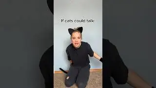 If cats could talk pt. 2