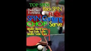 Home Table Tennis Training Drills Alone Without the Table | Spin, Chop, Flick, Serve |Alat SpinFokus