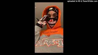 (FREE) Fenix Flexin x Shoreline Mafia Sample Type Beat 2024 - 