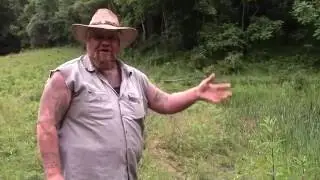 Setting Some Turtle Lines