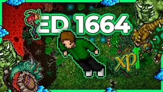 ED 1664 Hunt x4 Sparkling Pools (Hz 12) 17.6kk/h Raw + 8.7kk Profit - Tibia Hunt [15.10]