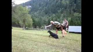 Jagdhundetraining