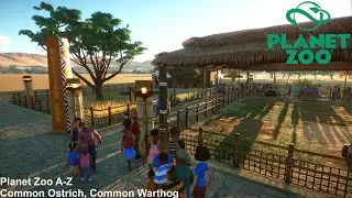 Common Ostrich and Warthog - Petting Zoo Style Habitat - Planet Zoo A-Z Speedbuilds