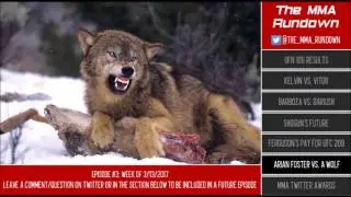 Fight Breakdown: Arian Foster vs. A Wolf