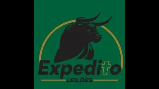 EXPEDITO LEILÕES - LEILÃO DE GADO - LEOPOLDO DE BULHÕES GO