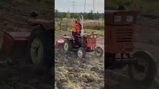 4 октября 2025 г.