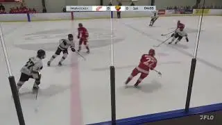 Silver Sticks GAME #2 (2024-11-29) Sun County Panthers vs Toronto Red Wings