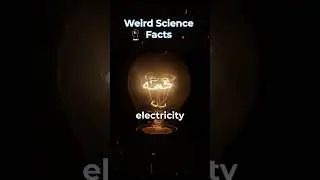 Weird Science Facts: Part 5 #shorts #science