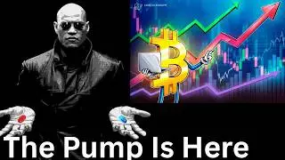Bitcoin, Ethereum Bears Face Massive Short Squeeze as Altcoins Explode And Memecoins See Huge Gains