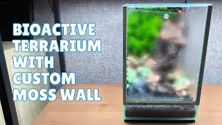 We&rsquo;ve Built Moss Wall Terrariums Before&hellip; This One Was Different